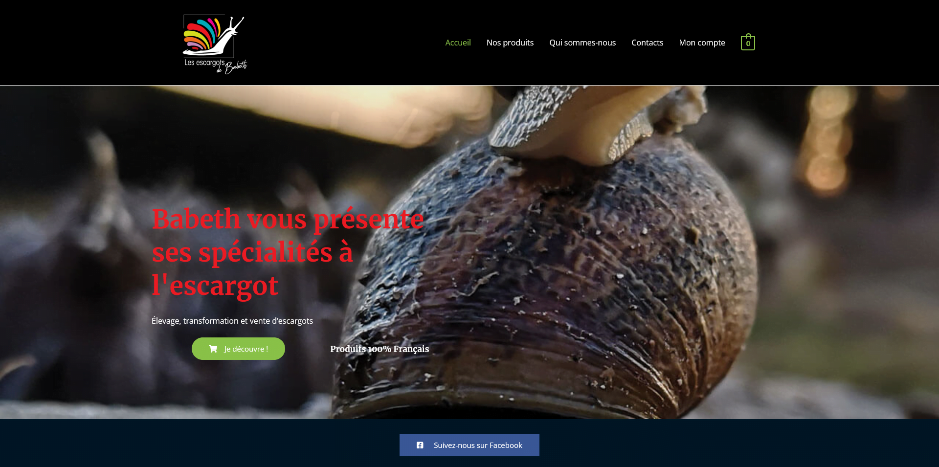 création site vitrine pour éleveur d escargot